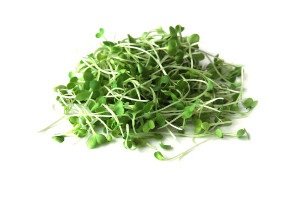 Arugula